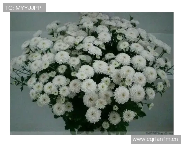 怀念恩师徐长锁杨瀚森铭记教诲愿您一路走好永存心间